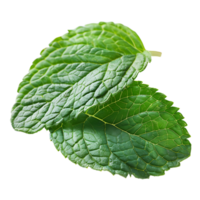 mint leaves on isolated transparent background png