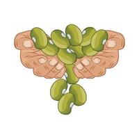 illustration of mung beans vector