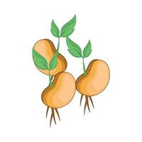 illustration of beans sprout vector