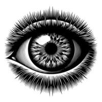 negro y blanco ilustración de el humano ojo iris vector