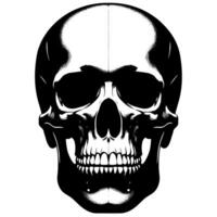 Black and White Illustration of a human skull vector