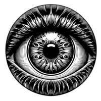 Black and White Illustration of the Human Eye Iris vector