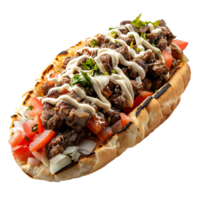 Halifax donair on isolated transparent background png