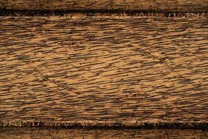 Texture background of Palmyra palm wooden. photo