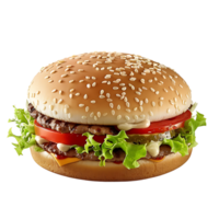 Hamburger on isolated transparent background png