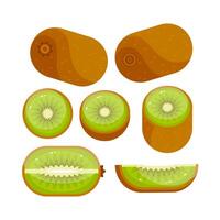 Kiwi. Set of whole, slice, half. Fresh kiwi fruit. vector