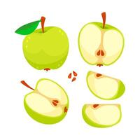 conjunto de manzanas y rebanado manzanas manzana Fruta vector