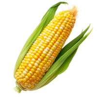 Corn on transparent Background png