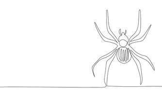 Spider one line continuous. Line art Spider. Hand drawn art. vector