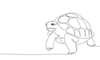 Tortuga uno línea continuo. línea Arte tortuga. mano dibujado Arte. vector