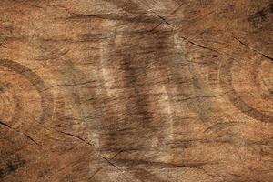 Texture of wood. photo