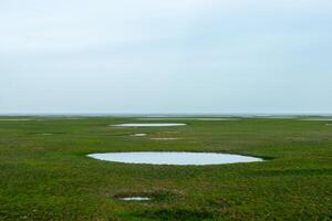 Drought of Lake Wetlands photo