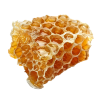 Honey on transparent Background png