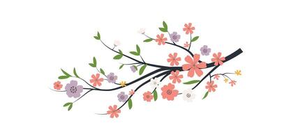 Spring flowers tree branch, blossom floral isolated on white background, garden leaves tree branch illustration vector