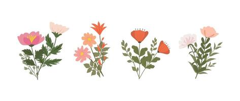 A collection of colorful spring flowers in soft colors, botanical species in flat design style, nature floral bloom decorative elements illustration vector