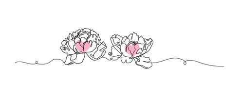 Peony flowers line art isolated on white, flower with heart continuous line hand drawn, illustration vector