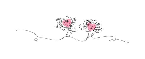 Peony flowers line art isolated on white, flower with heart continuous line hand drawn, illustration vector