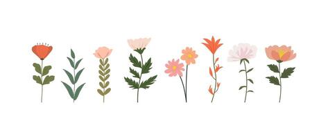 A collection of colorful spring flowers in soft colors, botanical species in flat design style, nature floral bloom decorative elements illustration vector