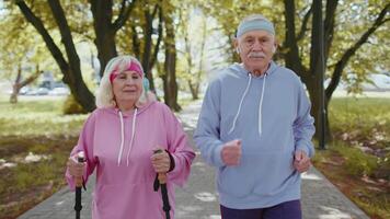 allegro anziano vecchio coppia nonno, nonna formazione nordico a passeggio, in esecuzione nel estate parco video