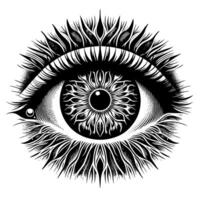 Black and White Illustration of the Human Eye Iris vector