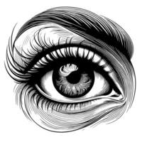 Black and White Illustration of the Human Eye Iris vector