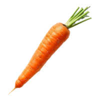 Carrot on transparent Background png