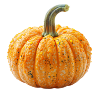 calabaza en transparente antecedentes png