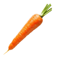 carota su sfondo trasparente png