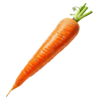 Carrot on transparent Background png