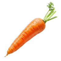 Carrot on transparent Background png