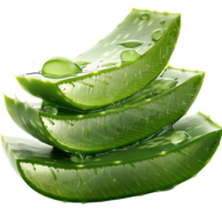 aloe vera on transparent Background png