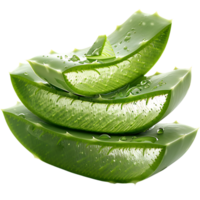 Aloe vera auf transparent Hintergrund png