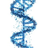 Blue DNA Chain on transparent Background png