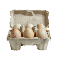 Egg carton on isolated transparent background png