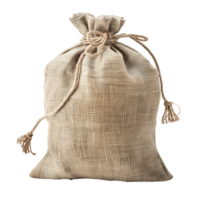 money bag on isolated transparent background png