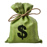 Green money bag on isolated transparent background png