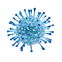 Coronavirus on isolated transparent background png