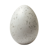 Egg on isolated transparent background png