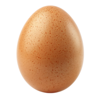 Egg on isolated transparent background png