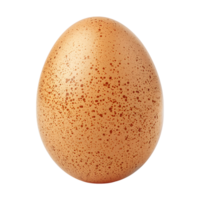 Egg on isolated transparent background png
