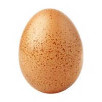 ägg på isolerat transparent bakgrund png