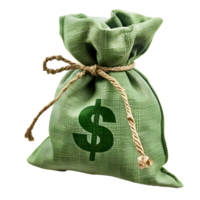 Green money bag on isolated transparent background png