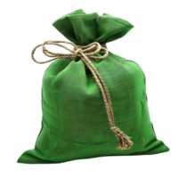 Green money bag on isolated transparent background png