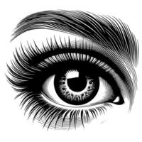 Black and White Illustration of the Human Eye Iris vector