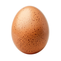 Egg on isolated transparent background png