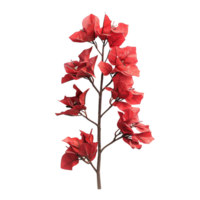 bougainvillea blomma på isolerat transparent bakgrund png