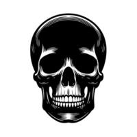 Black and White Illustration of a human skull vector