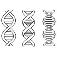 Set of abstract DNA molecule outline icon isolated on white vector