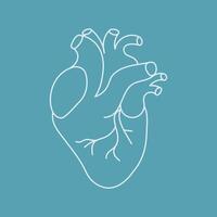 Human heart outline icon on blue background vector