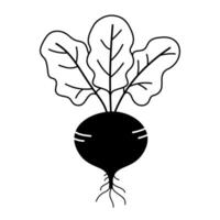 Black and white linear beet icon vector